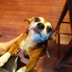 Meet your Posher, Laurie